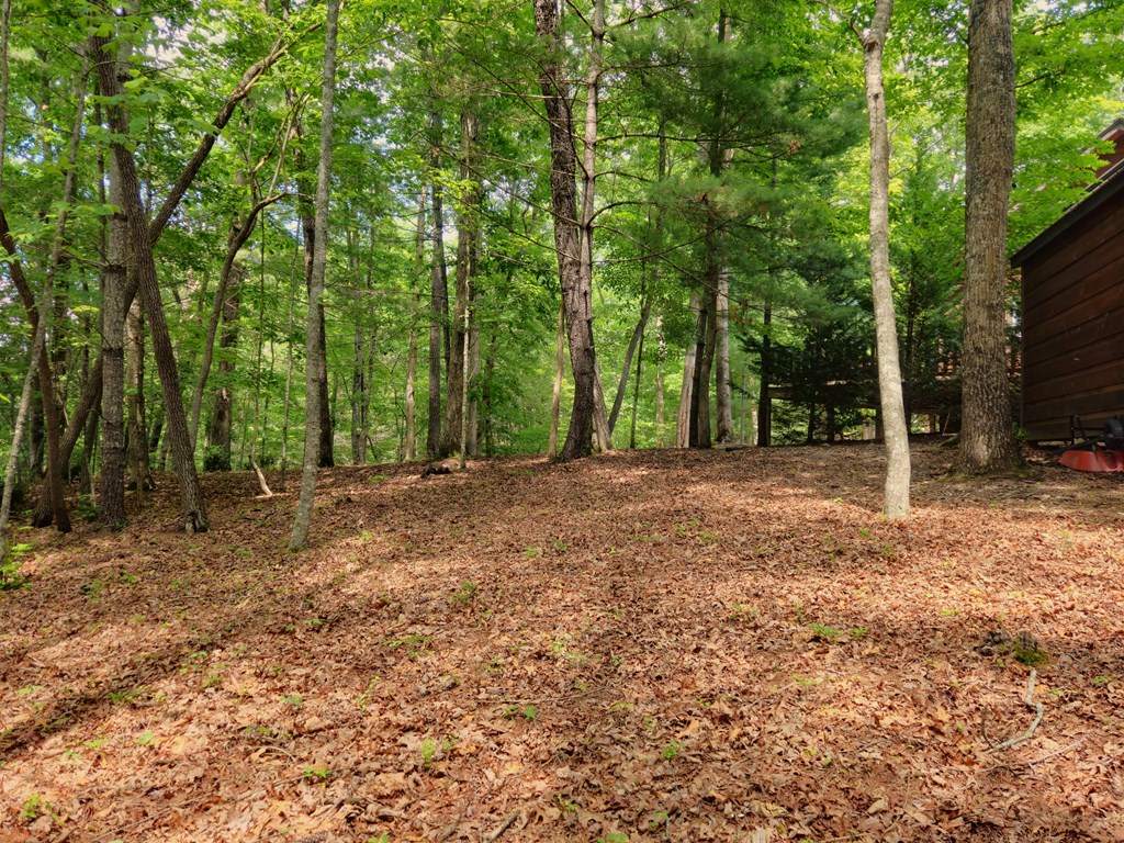 211 Winding Brook Trail