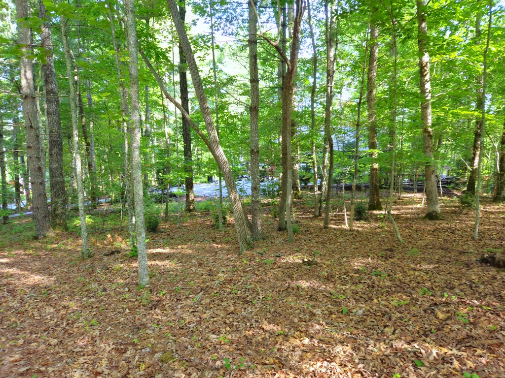 211 Winding Brook Trail