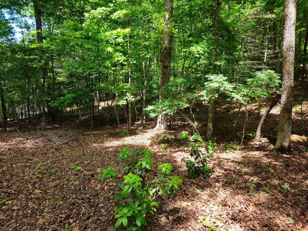 211 Winding Brook Trail