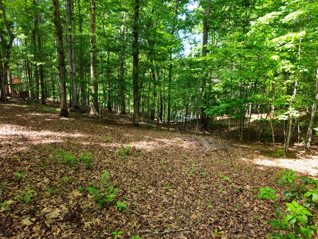 211 Winding Brook Trail