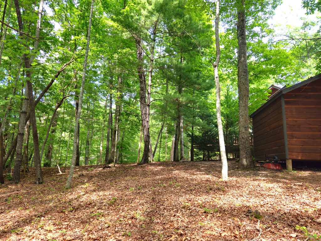 211 Winding Brook Trail