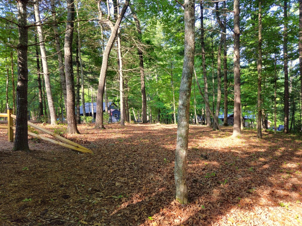 211 Winding Brook Trail