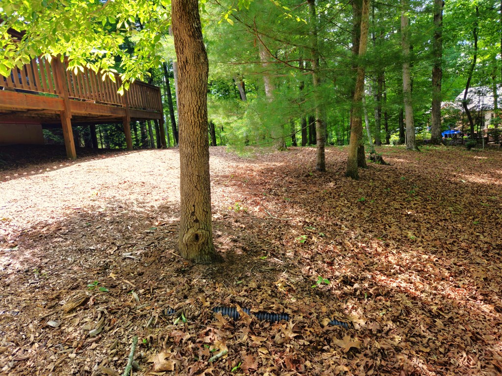 211 Winding Brook Trail