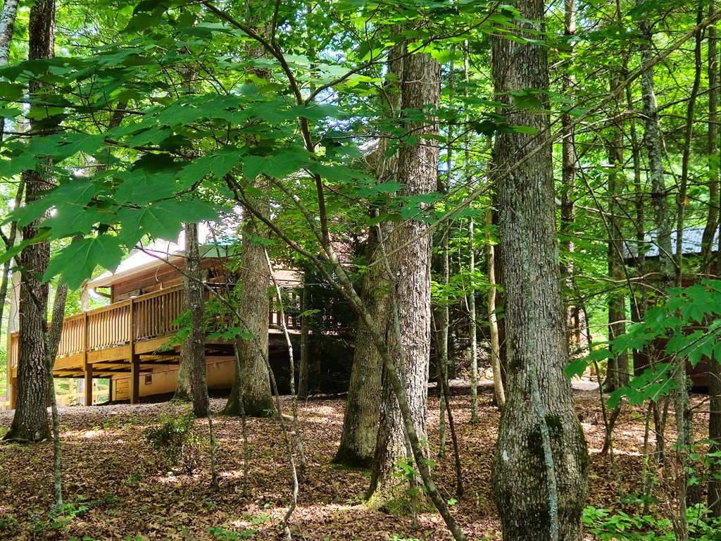 211 Winding Brook Trail