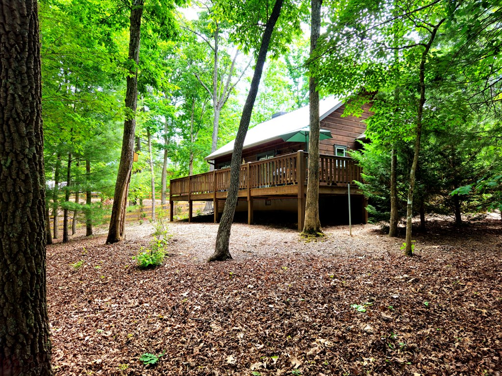 211 Winding Brook Trail