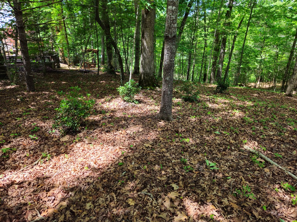 211 Winding Brook Trail
