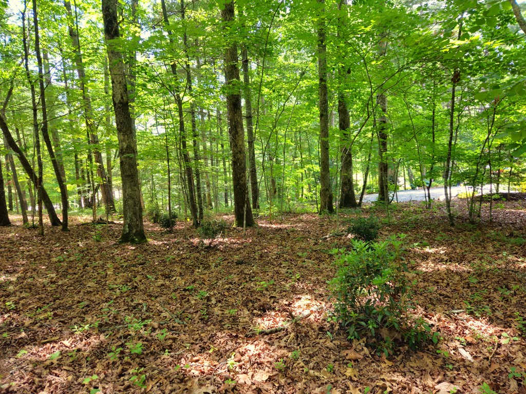 211 Winding Brook Trail