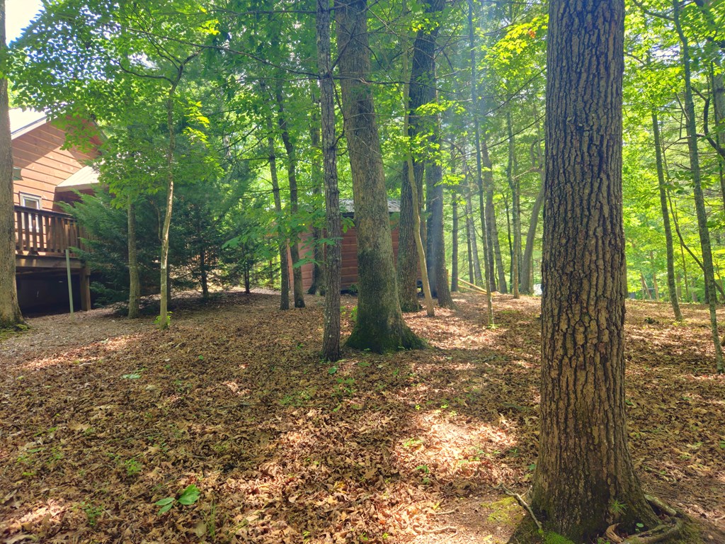 211 Winding Brook Trail
