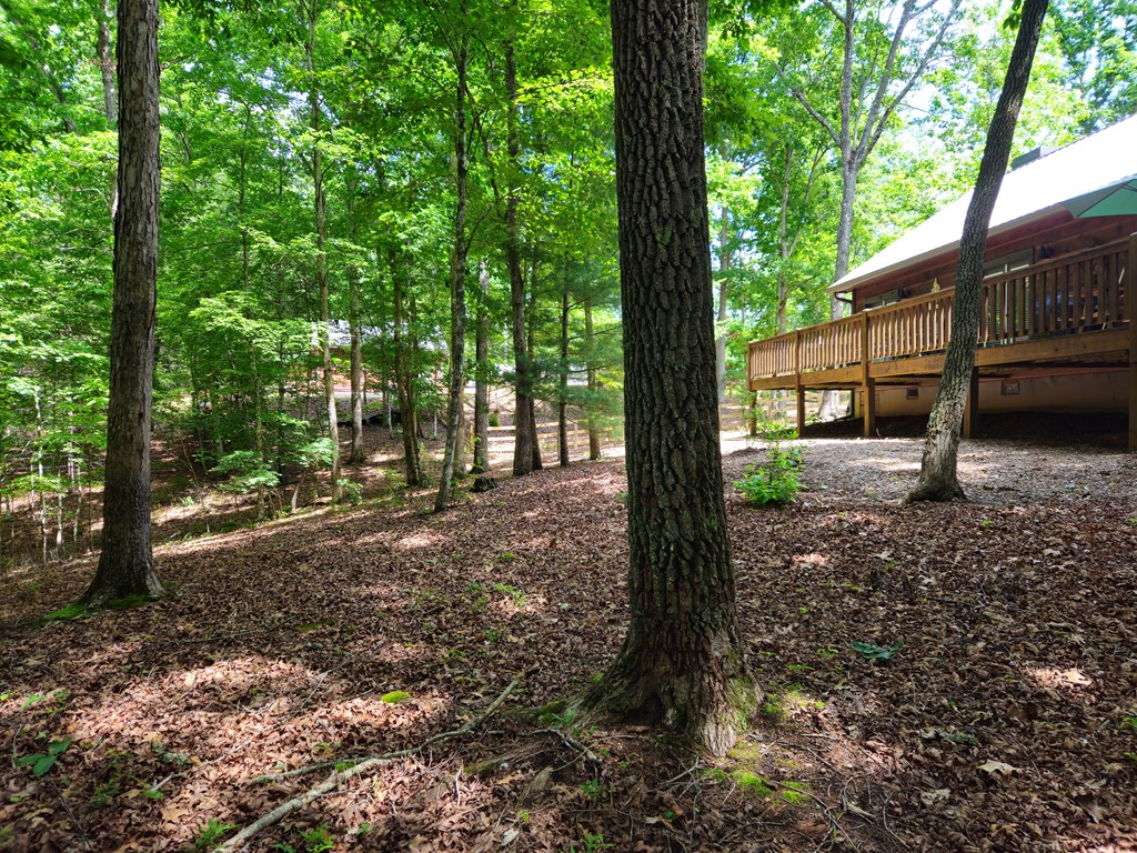 211 Winding Brook Trail
