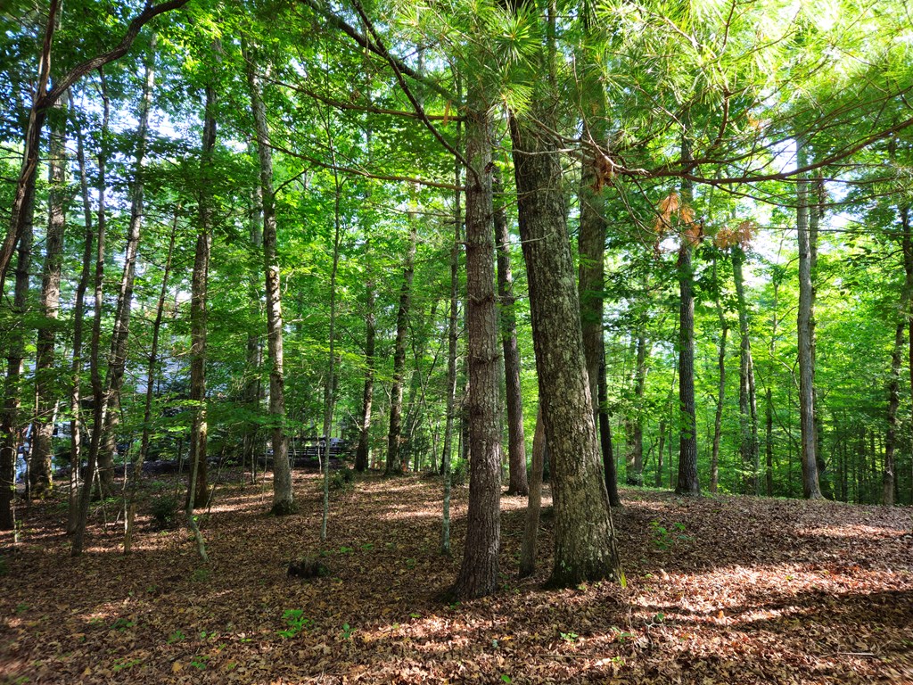 211 Winding Brook Trail