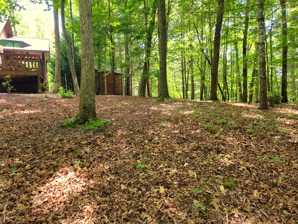 211 Winding Brook Trail
