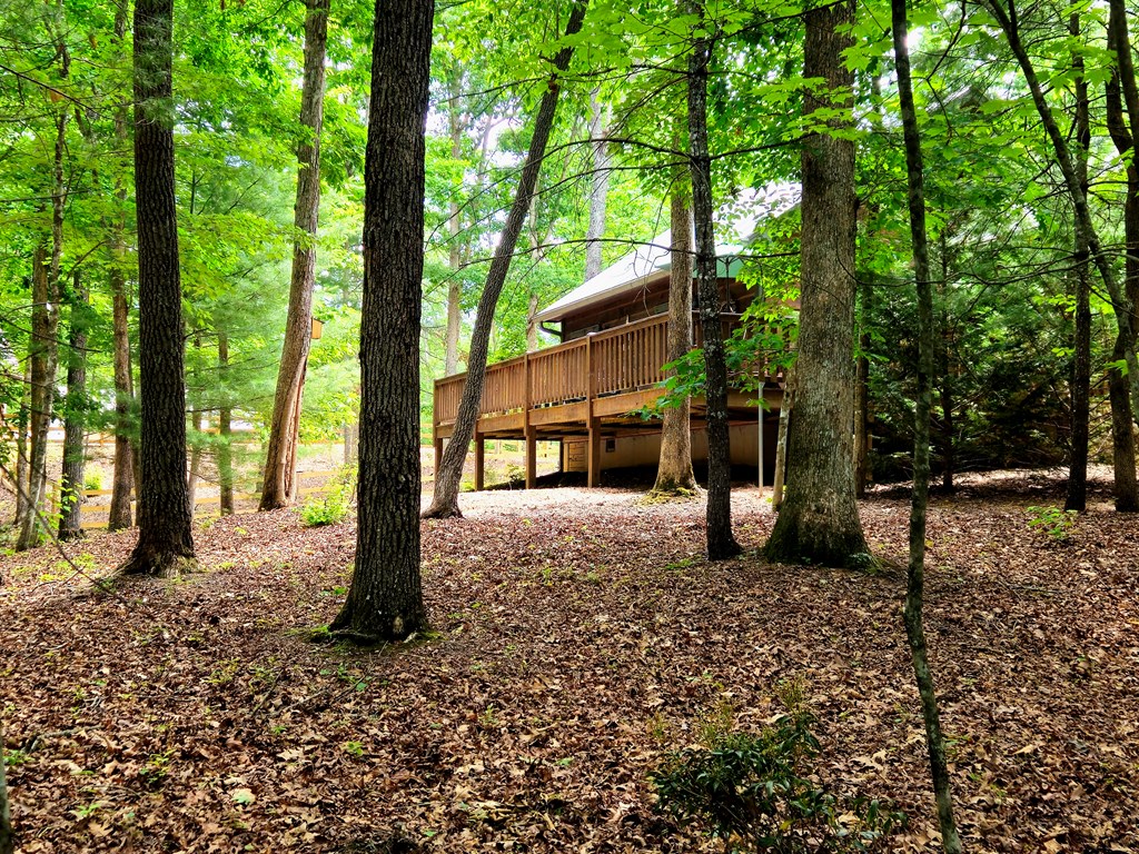211 Winding Brook Trail