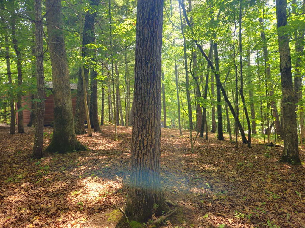 211 Winding Brook Trail