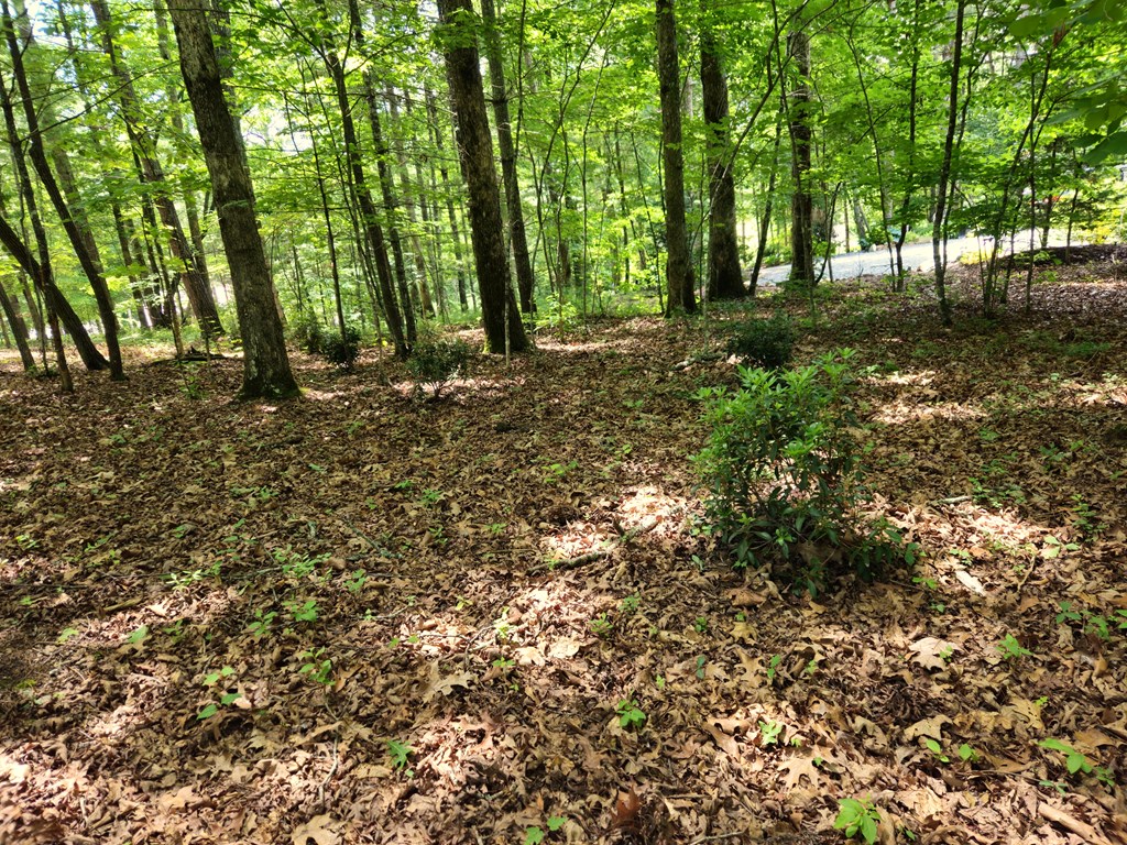 211 Winding Brook Trail