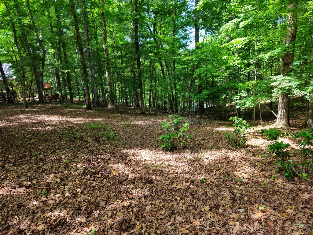 211 Winding Brook Trail