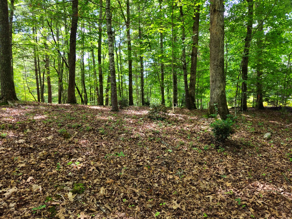 211 Winding Brook Trail
