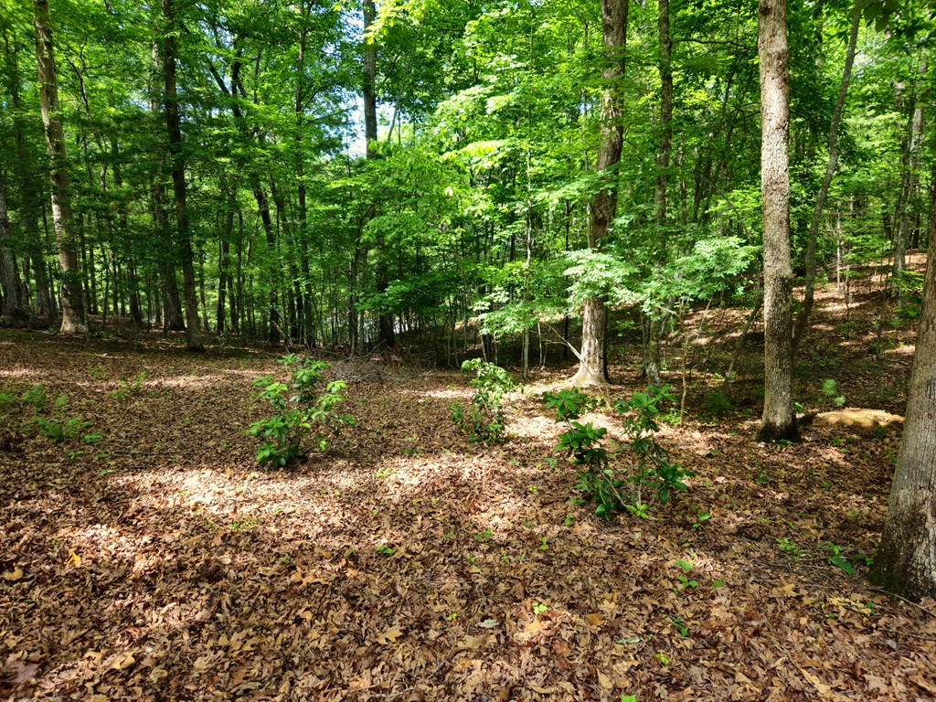 211 Winding Brook Trail