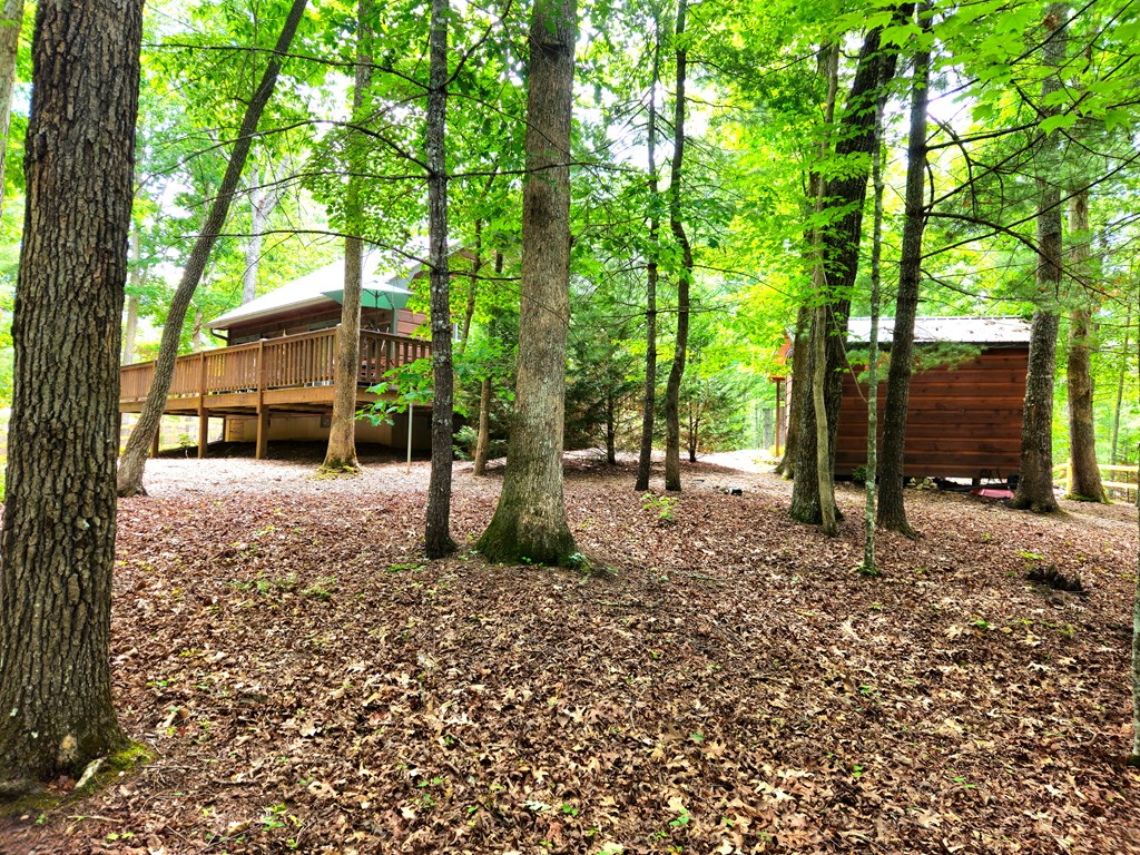211 Winding Brook Trail