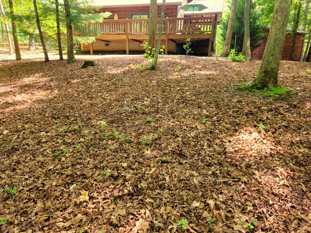 211 Winding Brook Trail