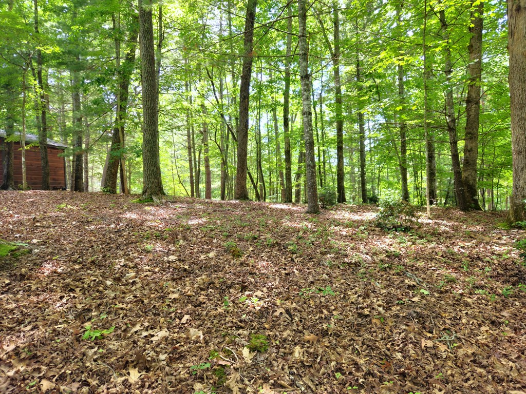 211 Winding Brook Trail