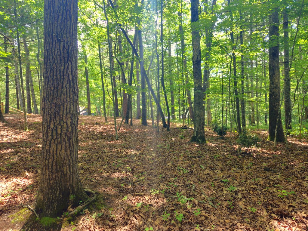 211 Winding Brook Trail