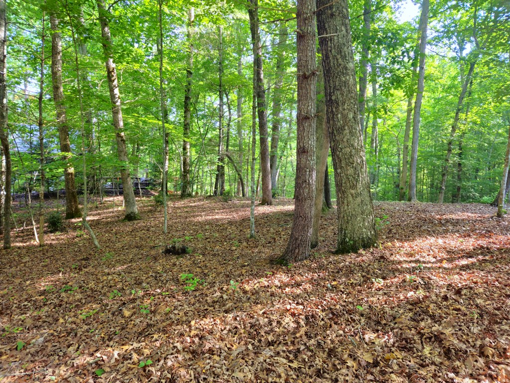 211 Winding Brook Trail