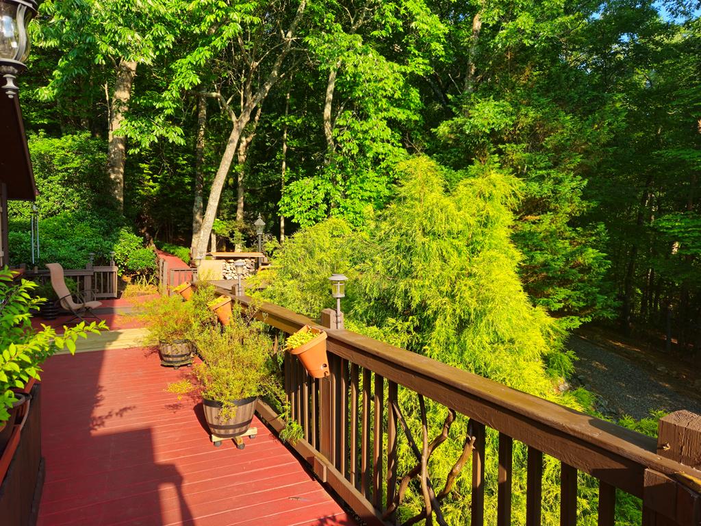 246 Adams Circle