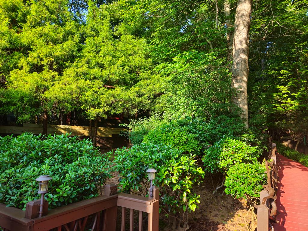 246 Adams Circle