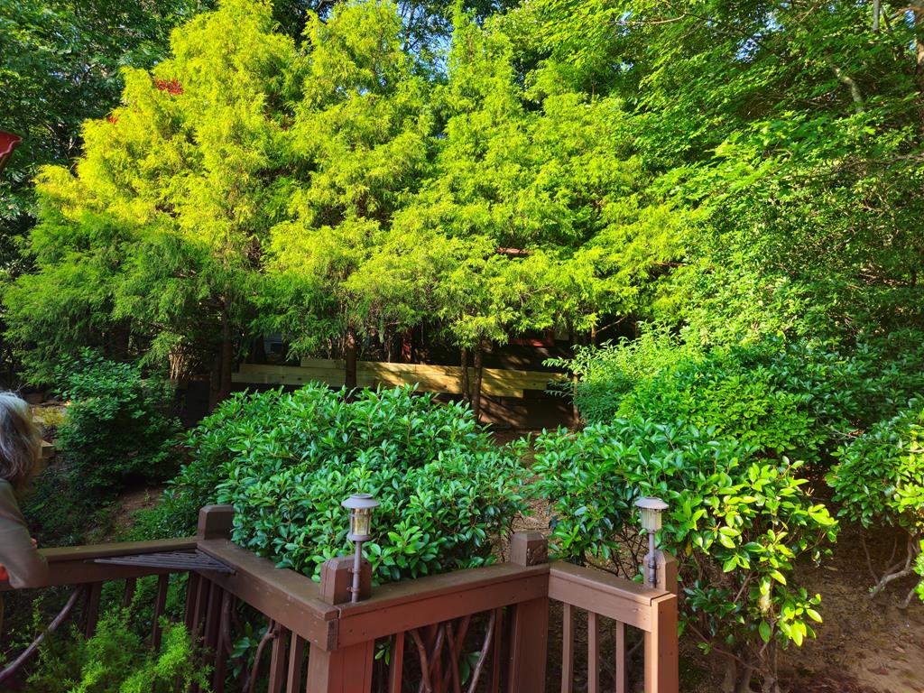 246 Adams Circle