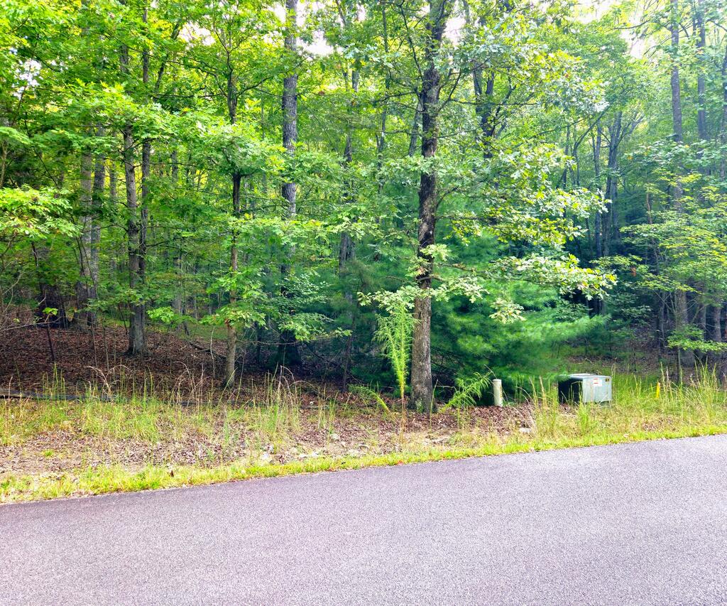 Lot 5 Lola Mae Way