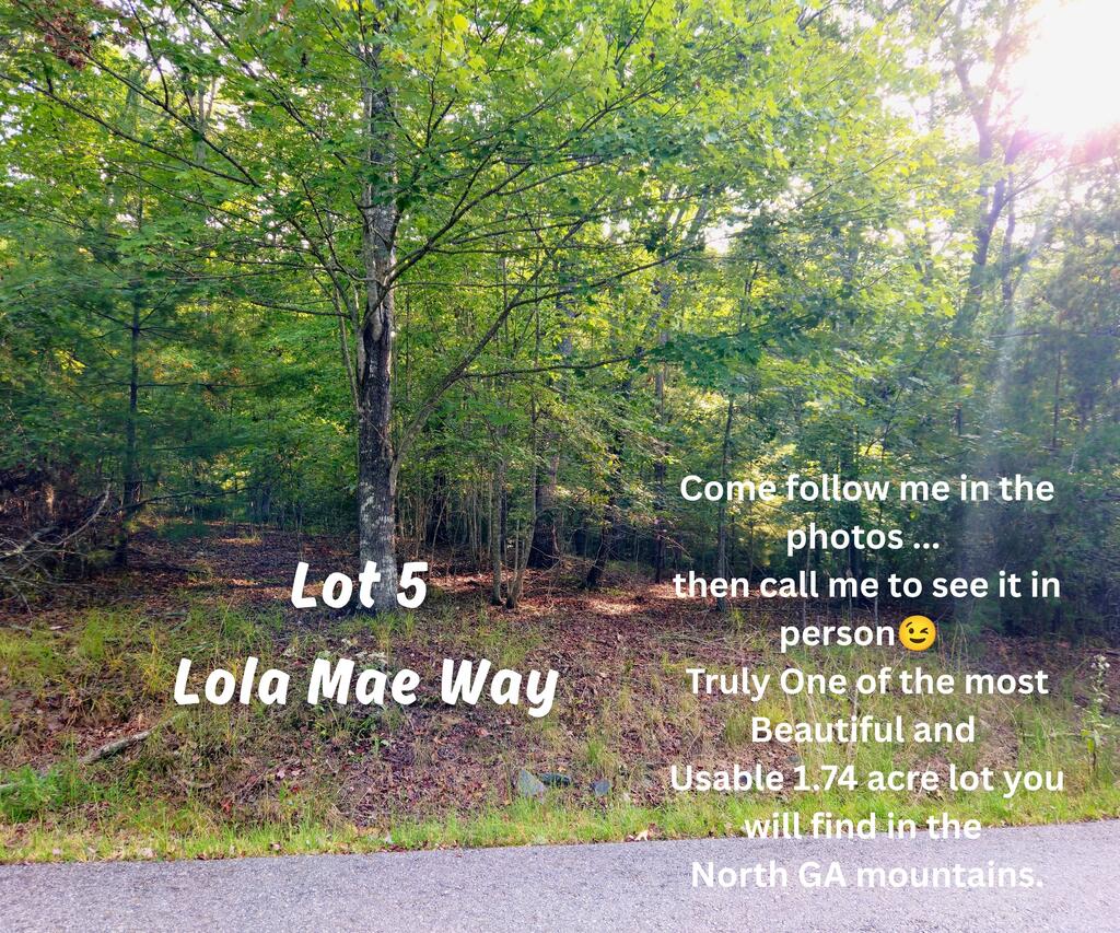 Wooded Lot 5 on Lola Mae Way, with mature trees and a paved road along its edge.