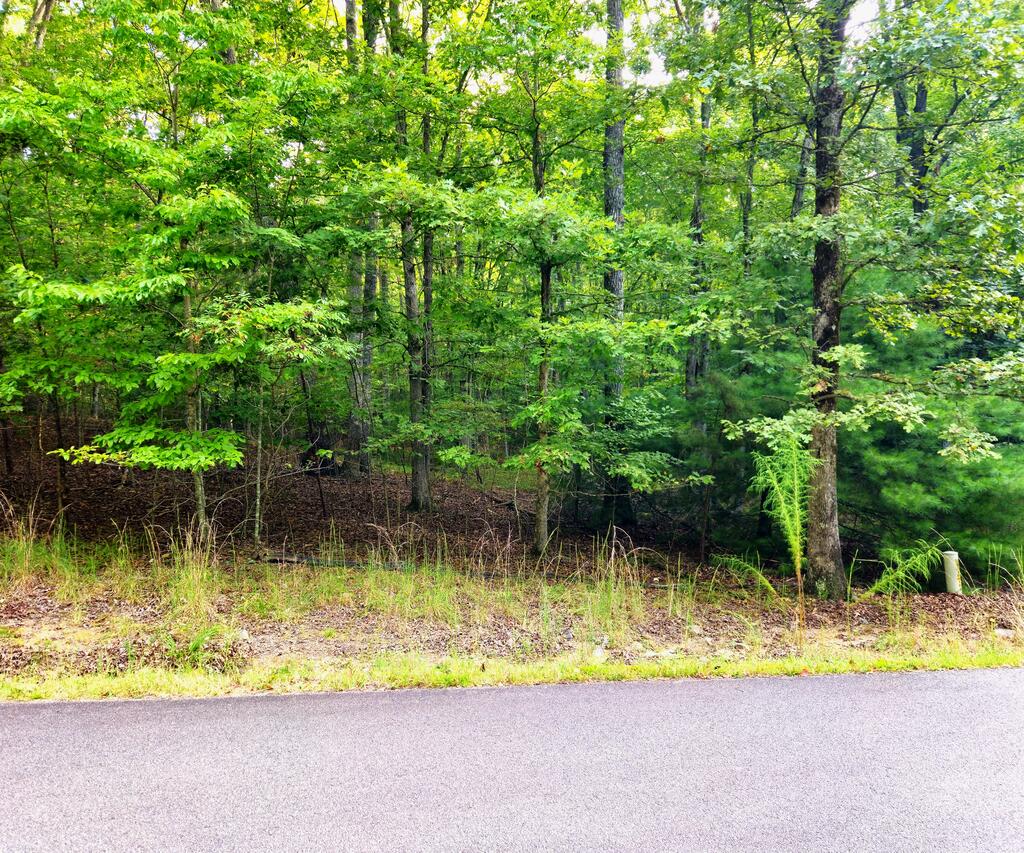 Lot 5 Lola Mae Way