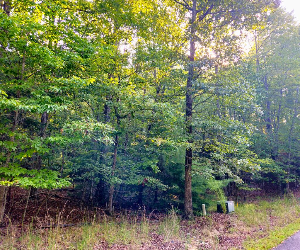 Lot 5 Lola Mae Way