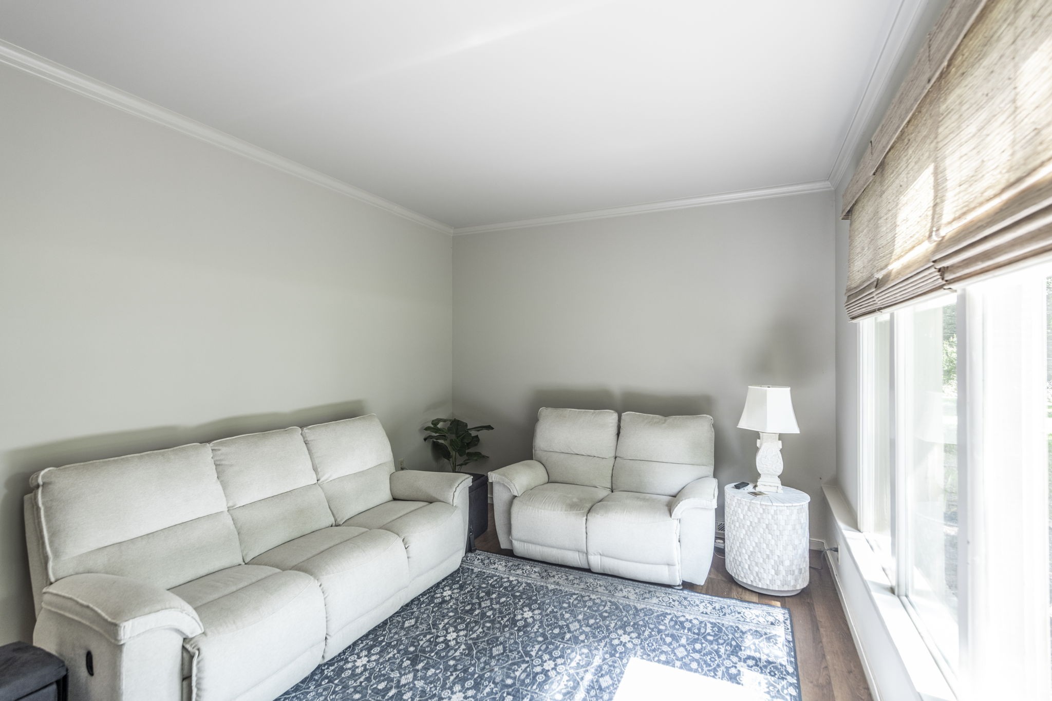315 Raintree Dr