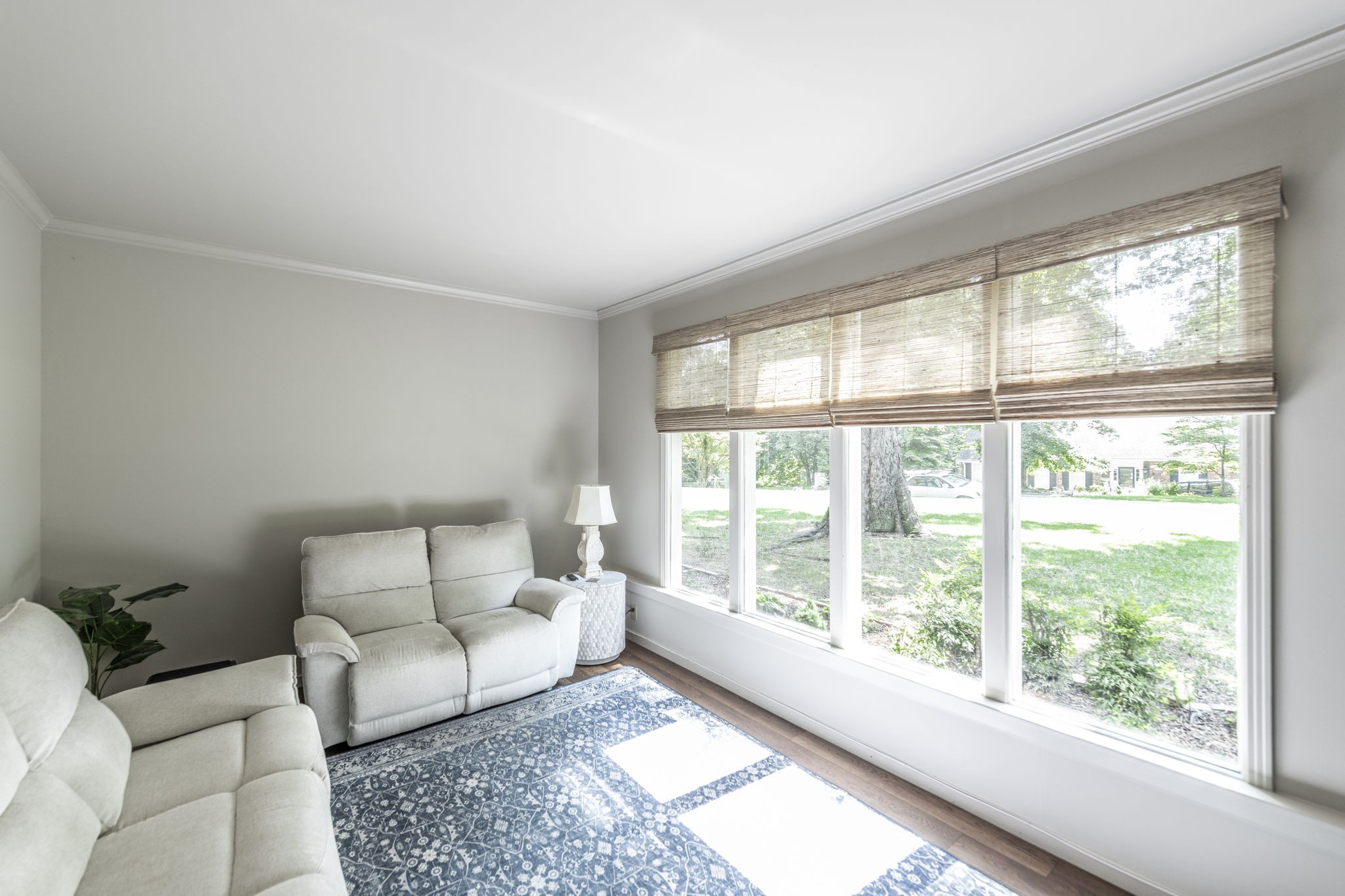 315 Raintree Dr