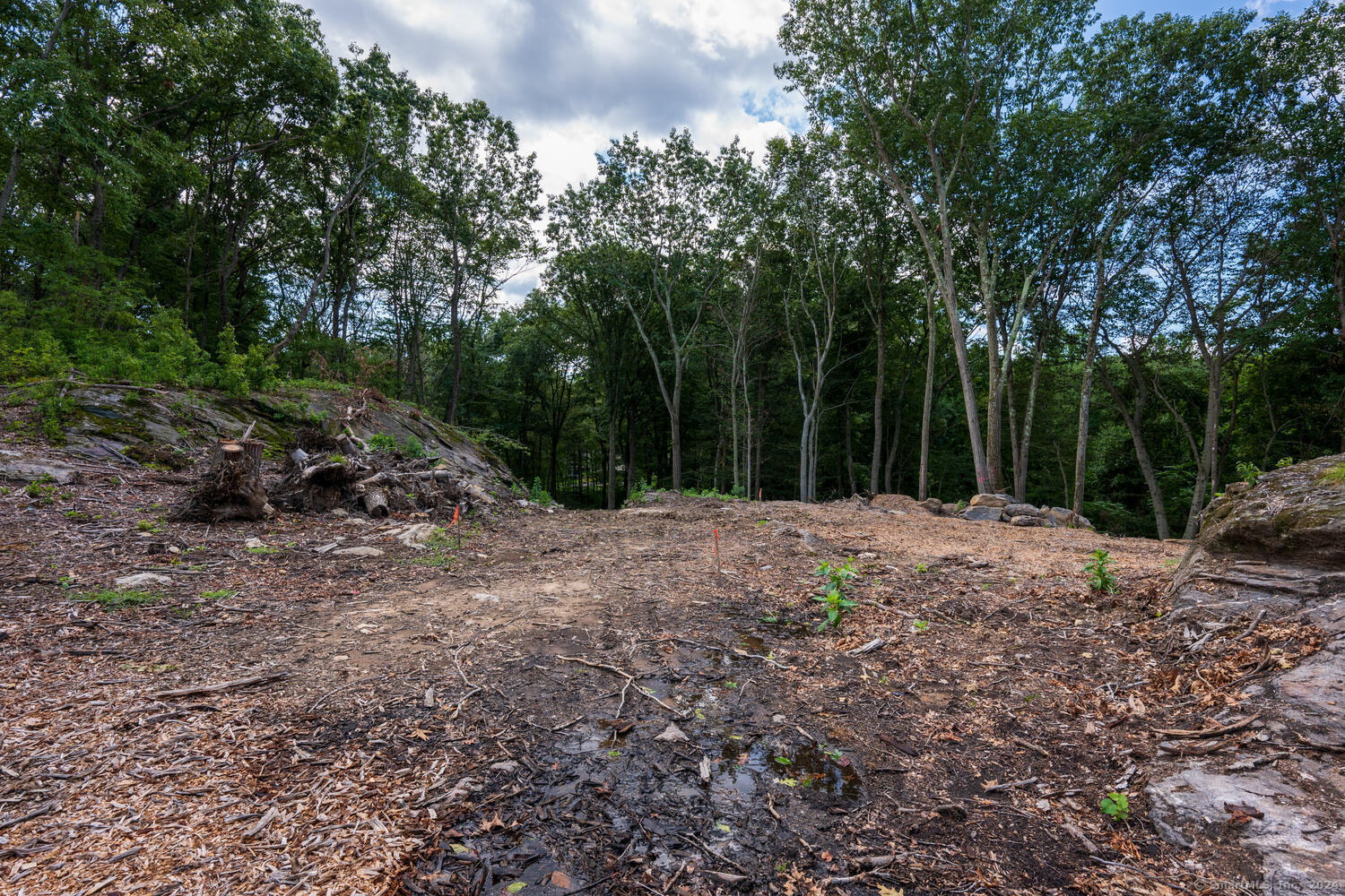 42 Far Horizon Drive