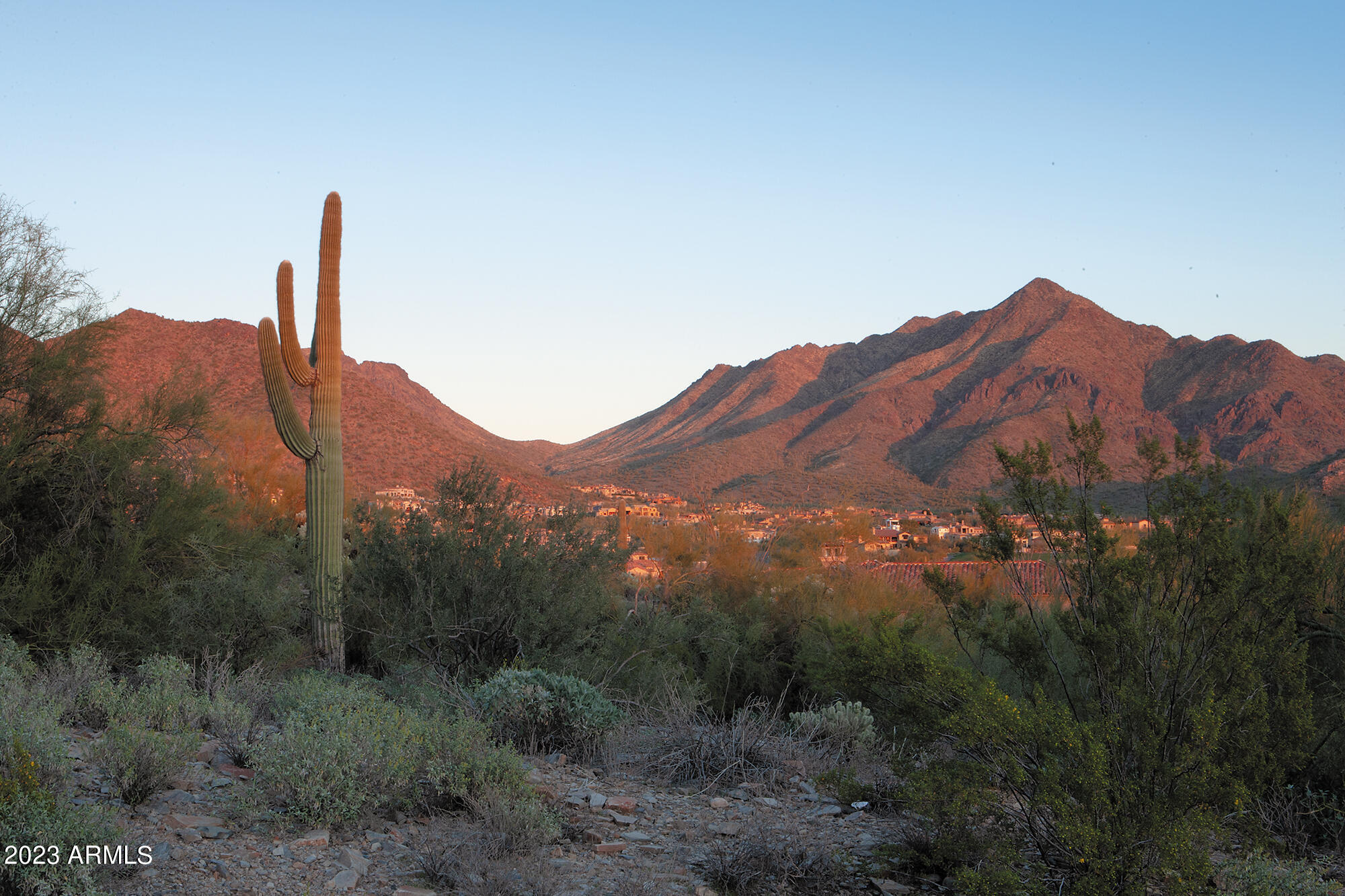 20948 N 104TH Way # 1486