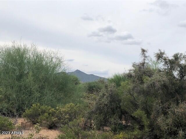 10674 E RISING SUN Drive # 8