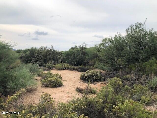 10674 E RISING SUN Drive # 8