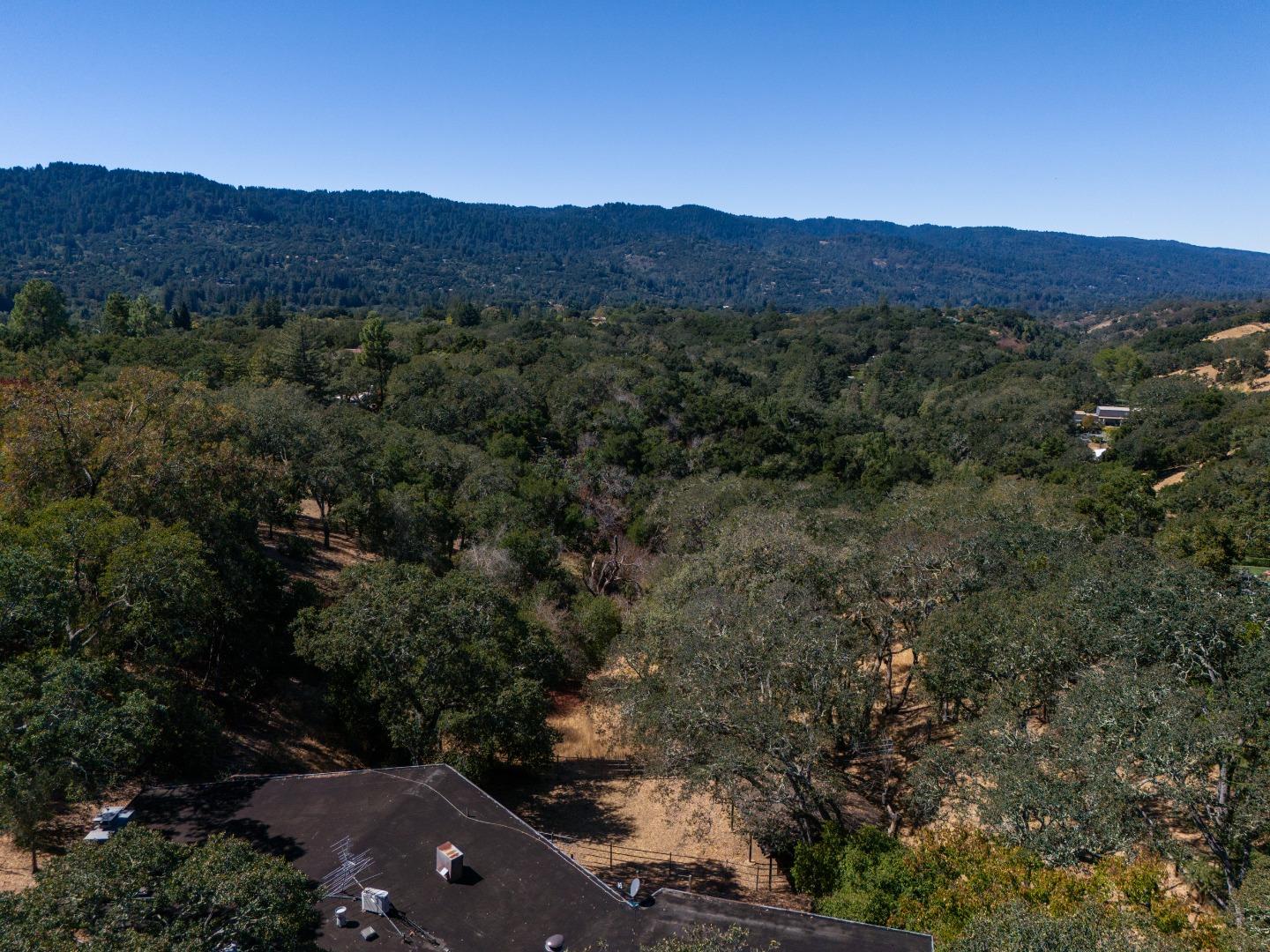 391 Golden Hills DR