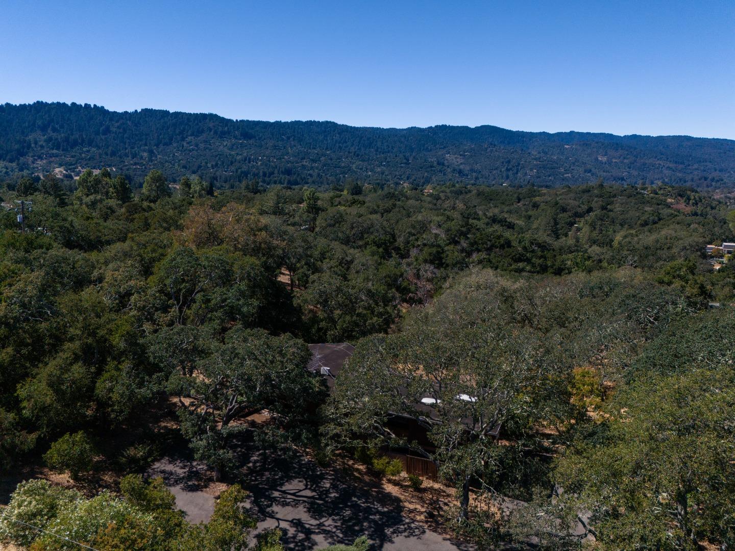 391 Golden Hills DR