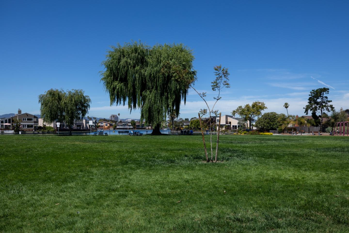 212 Albacore Lane D202