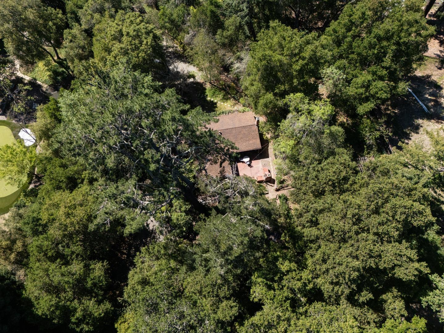 391 Mountain Home Road