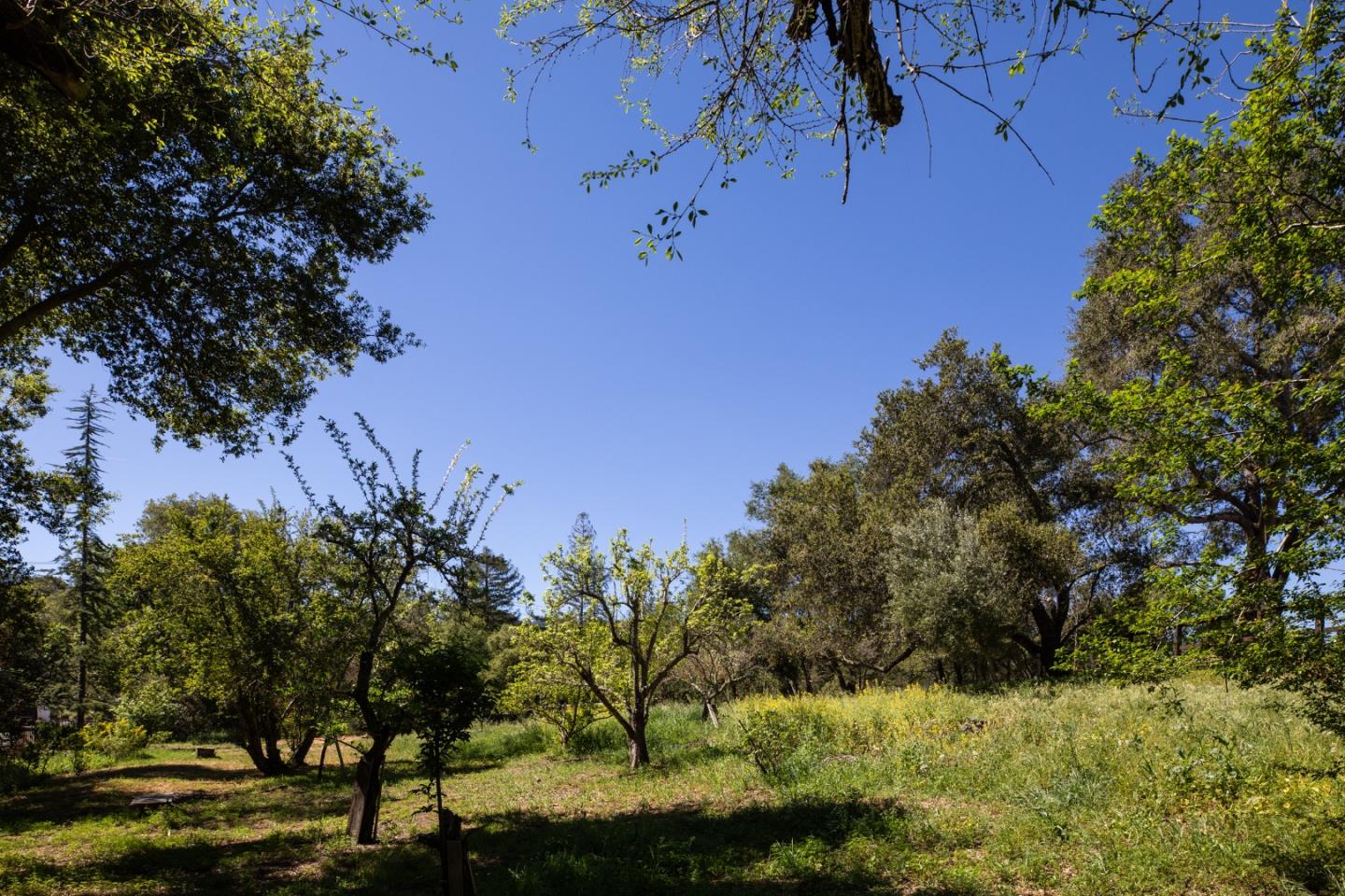 391 Mountain Home Road