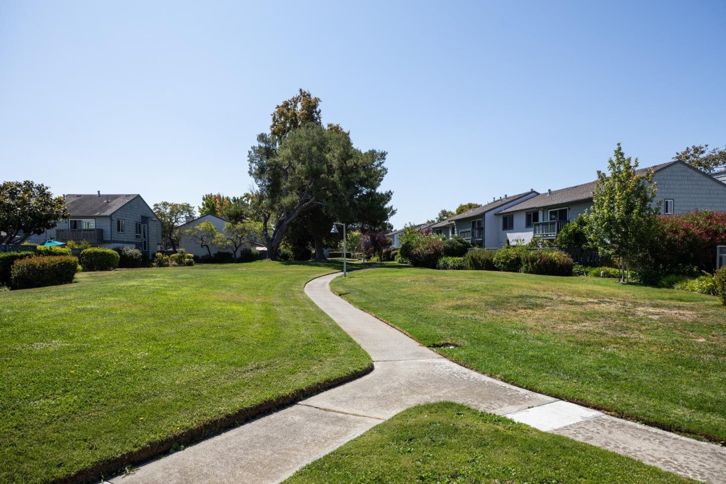 Erickson LN