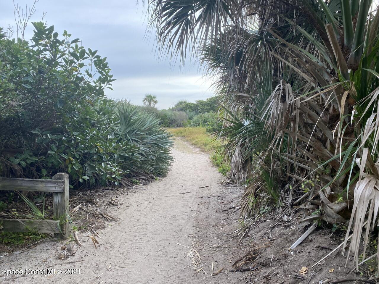 Sandy path winding through dense coastal palms and scrub beside a weathered wooden fence.