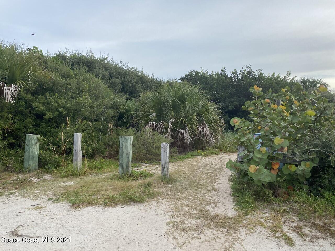 Sandy path through coastal vegetation, with palm trees and weathered wooden posts.