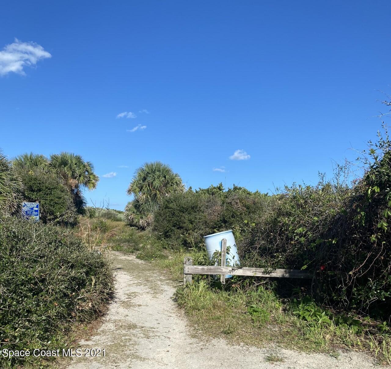 Sandy path through coastal vegetation, with palm trees, a wooden barrier, and a blue barrel.