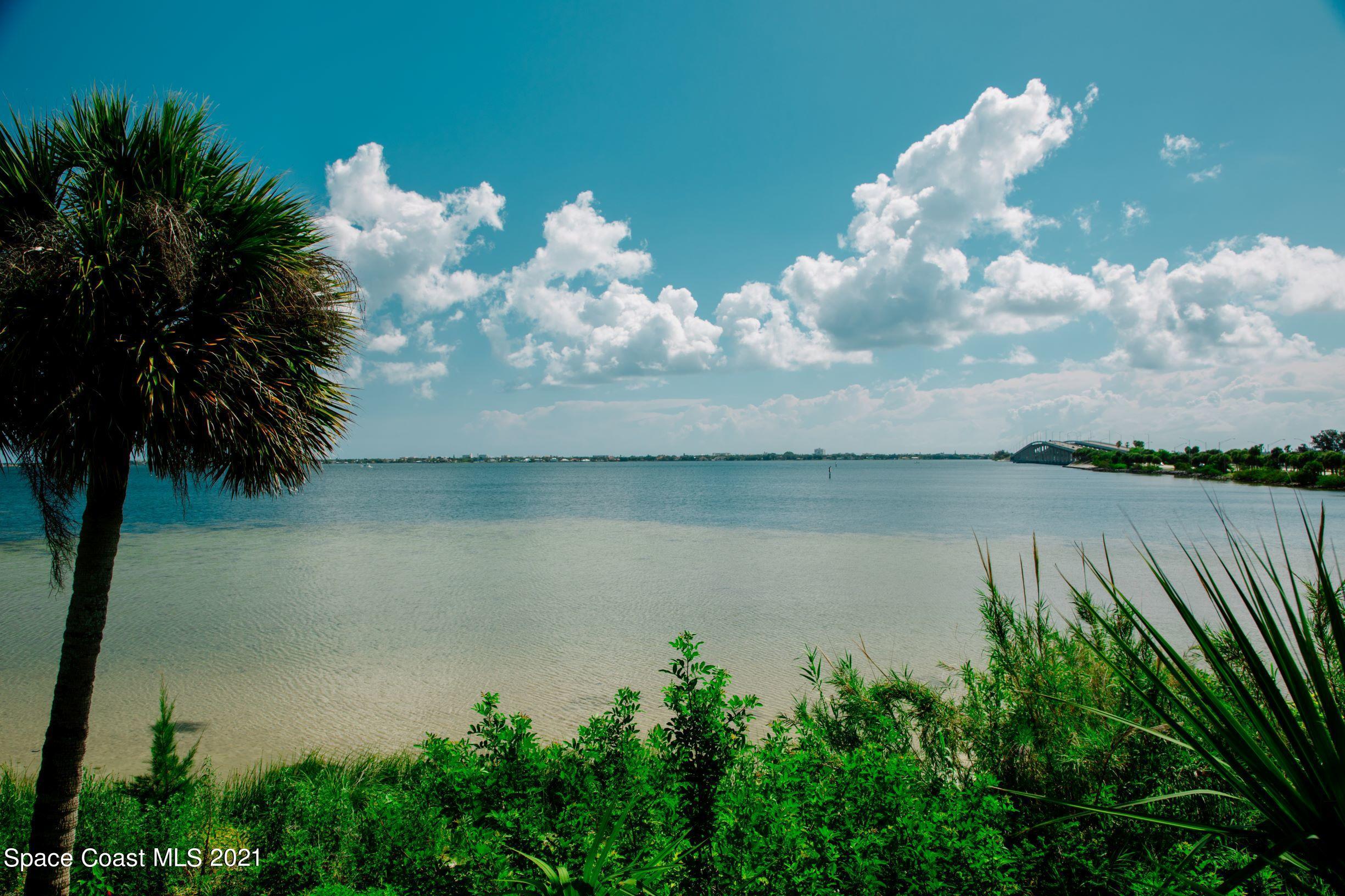 2011 Pineapple Cove