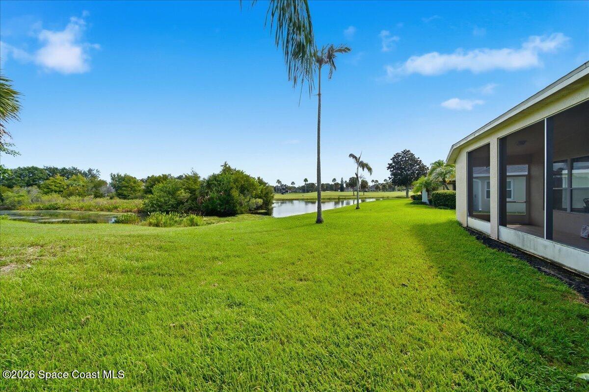 Grassy backyard with a pond, palm trees, and a screened lanai.